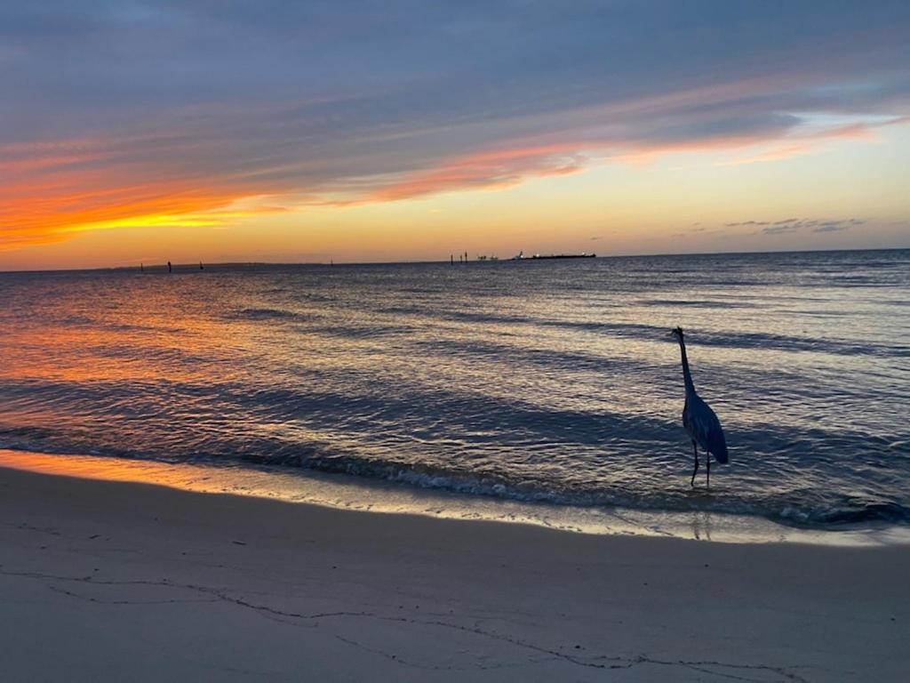 Budget Friendly Condo Within Walking Distance To The Beach! Gulf Shores Bagian luar foto
